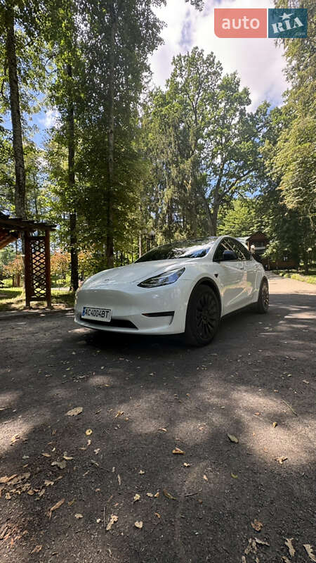 Внедорожник / Кроссовер Tesla Model Y 2020 в Луцке