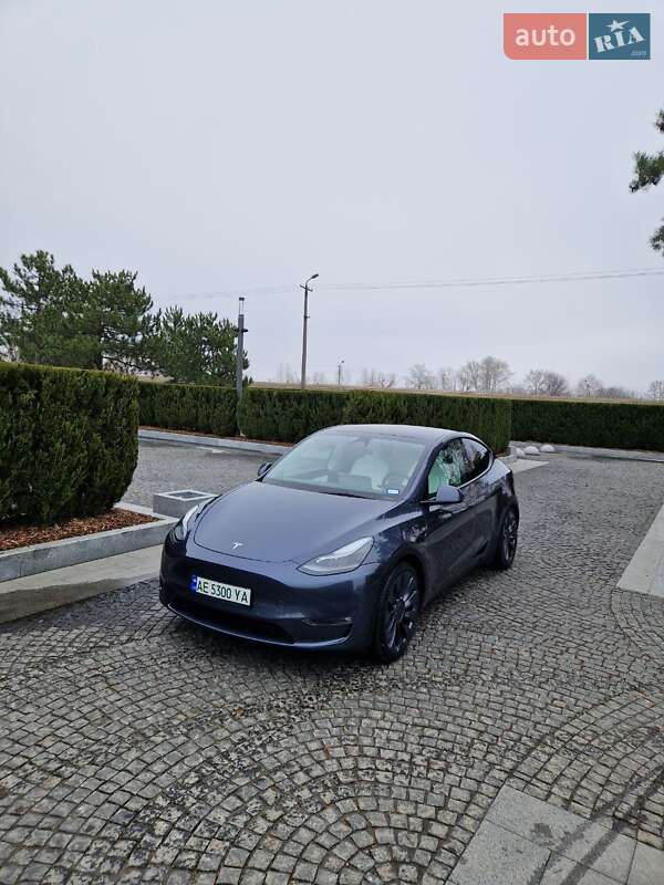 Внедорожник / Кроссовер Tesla Model Y 2022 в Днепре
