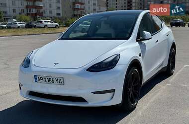 Позашляховик / Кросовер Tesla Model Y 2023 в Запоріжжі