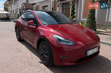 Внедорожник / Кроссовер Tesla Model Y 2024 в Львове