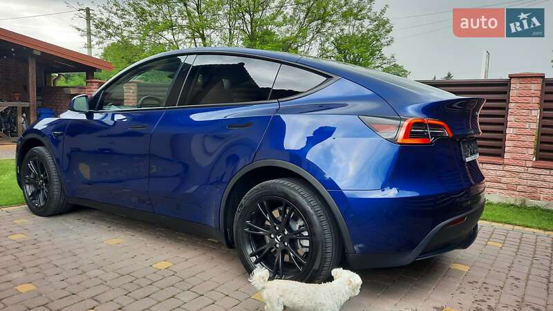 Внедорожник / Кроссовер Tesla Model Y 2023 в Ивано-Франковске