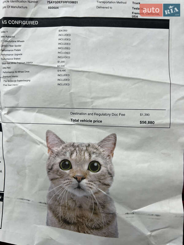 Внедорожник / Кроссовер Tesla Model Y 2024 в Староконстантинове фото 14 Внедорожник / Кроссовер Tesla Model Y 2024 в Староконстантинове