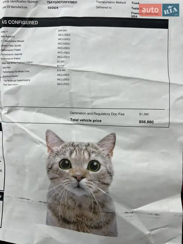 Внедорожник / Кроссовер Tesla Model Y 2024 в Староконстантинове документ 2 фото Внедорожник / Кроссовер Tesla Model Y 2024 в Староконстантинове документ