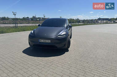 Внедорожник / Кроссовер Tesla Model Y 2023 в 