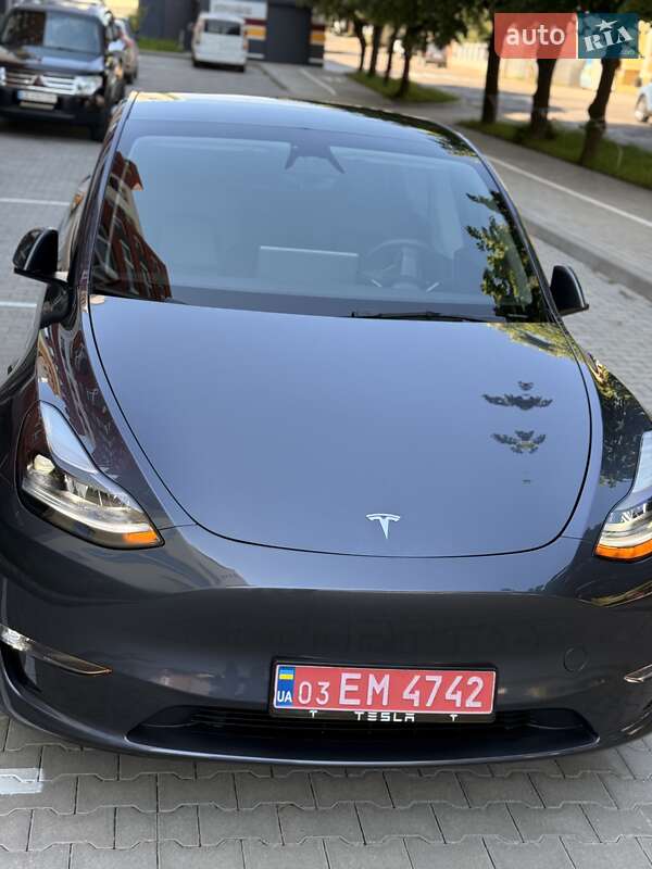 Позашляховик / Кросовер Tesla Model Y 2023 в Чернівцях