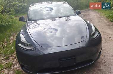 Позашляховик / Кросовер Tesla Model Y 2023 в 