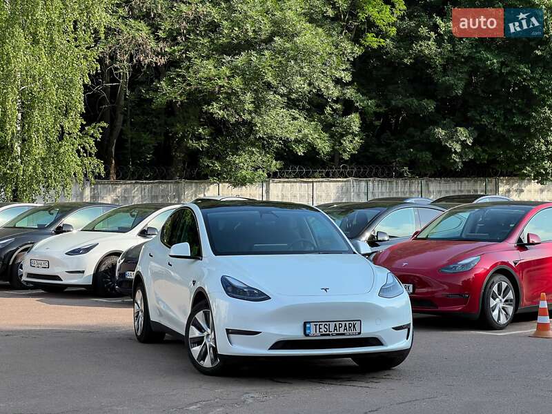 Позашляховик / Кросовер Tesla Model Y 2023 в 