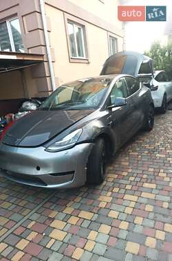 Позашляховик / Кросовер Tesla Model Y 2023 в Києві