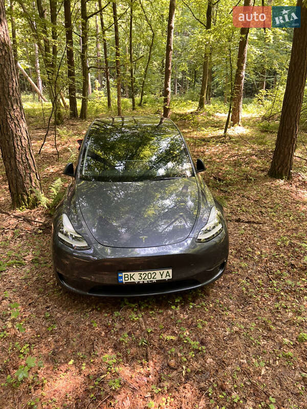 Tesla Model Y 2022