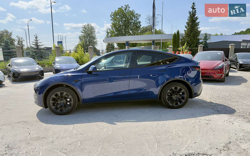 Внедорожник / Кроссовер Tesla Model Y 2024 в Виннице