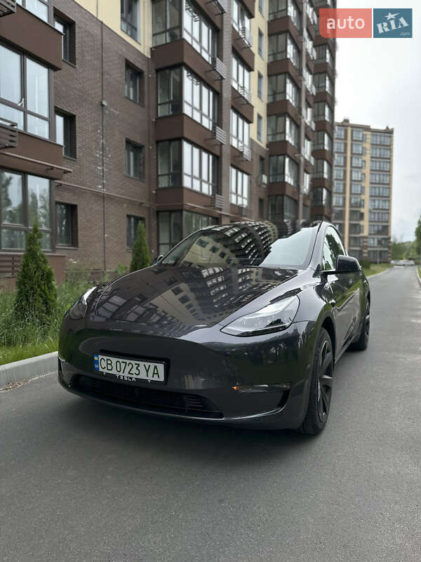 Позашляховик / Кросовер Tesla Model Y 2024 в Чернігові