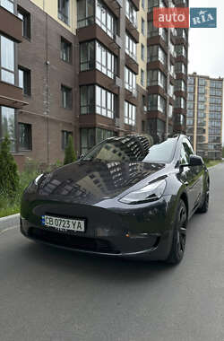 Внедорожник / Кроссовер Tesla Model Y 2024 в 