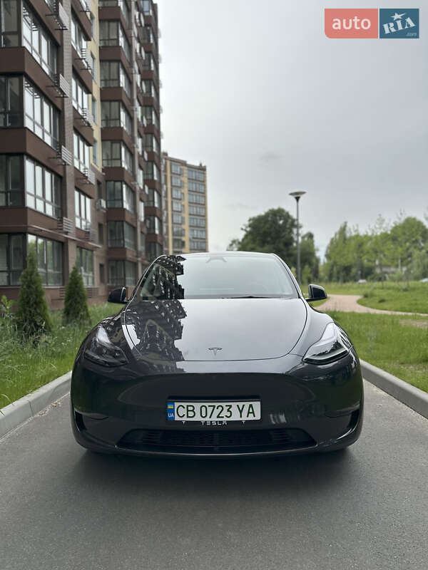 Позашляховик / Кросовер Tesla Model Y 2024 в Чернігові