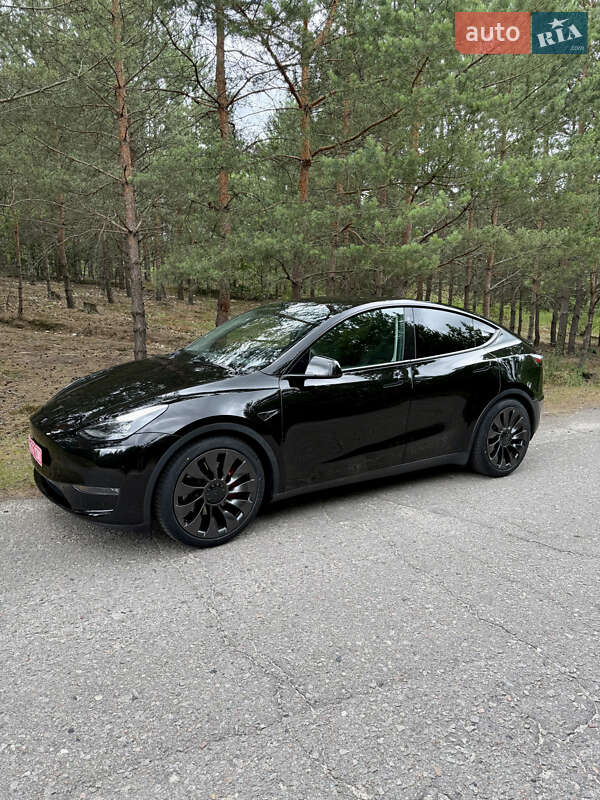 Внедорожник / Кроссовер Tesla Model Y 2022 в Киеве