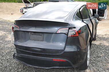 Внедорожник / Кроссовер Tesla Model Y 2024 в 