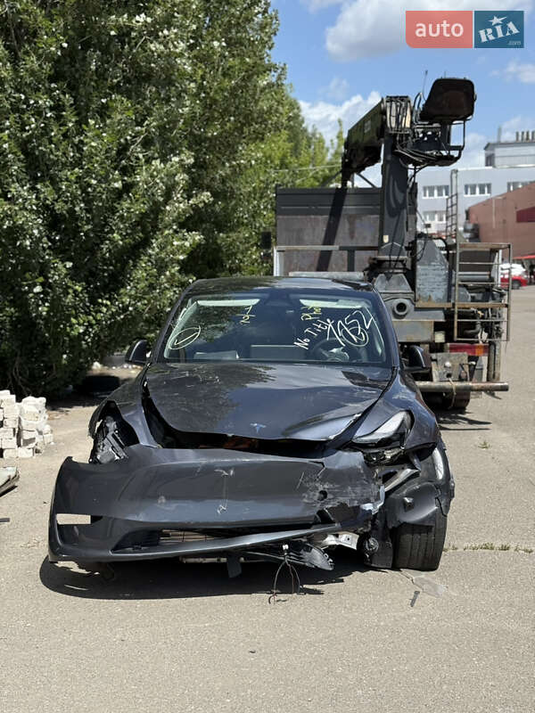 Внедорожник / Кроссовер Tesla Model Y 2023 в Киеве