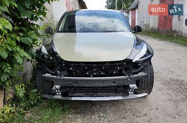 Внедорожник / Кроссовер Tesla Model Y 2024 в Житомире