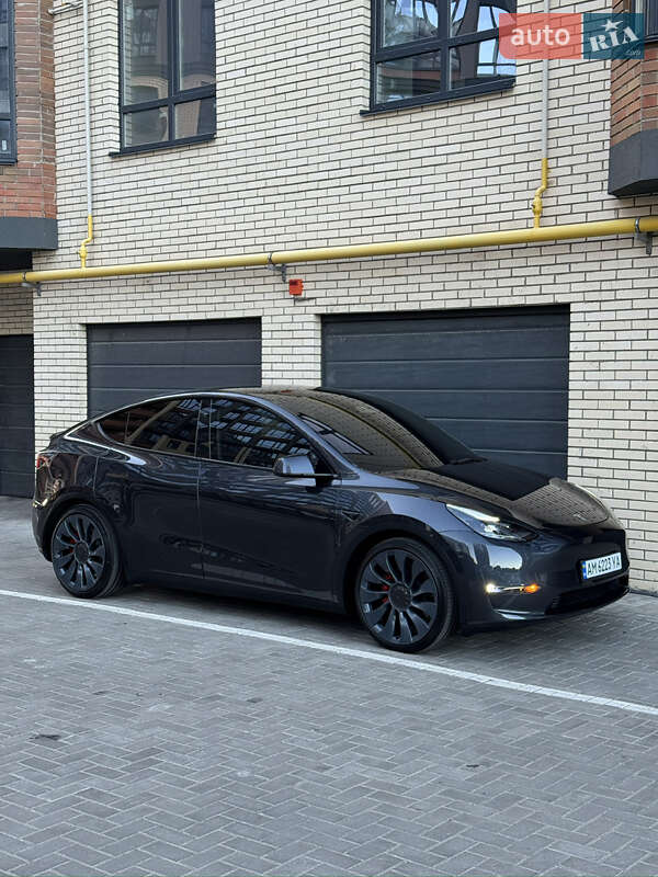 Внедорожник / Кроссовер Tesla Model Y 2024 в Житомире