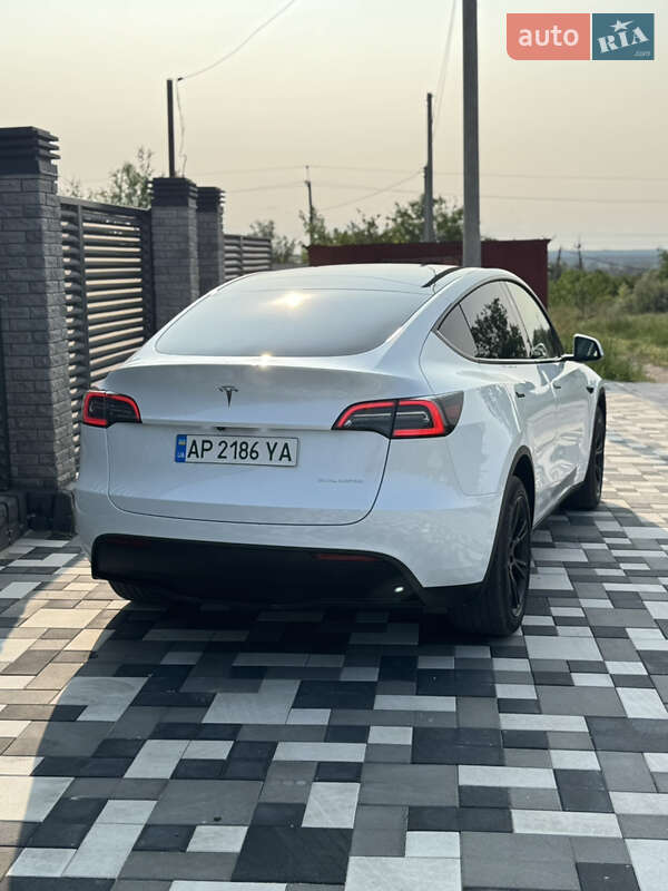 Внедорожник / Кроссовер Tesla Model Y 2023 в Запорожье
