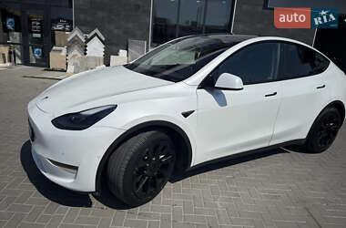 Позашляховик / Кросовер Tesla Model Y 2021 в Кам'янець-Подільському
