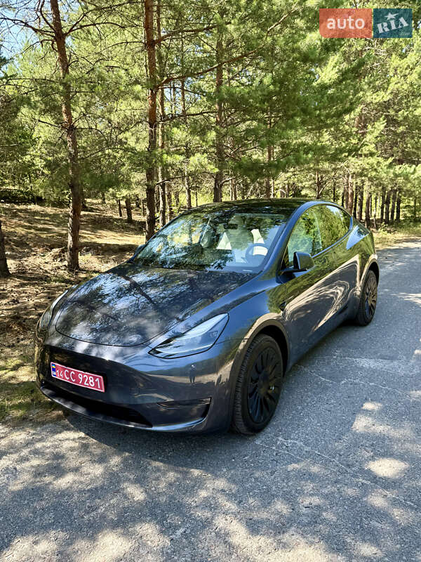 Внедорожник / Кроссовер Tesla Model Y 2023 в 