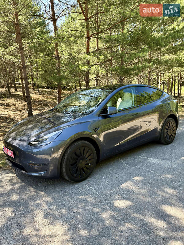 Внедорожник / Кроссовер Tesla Model Y 2023 в Киеве