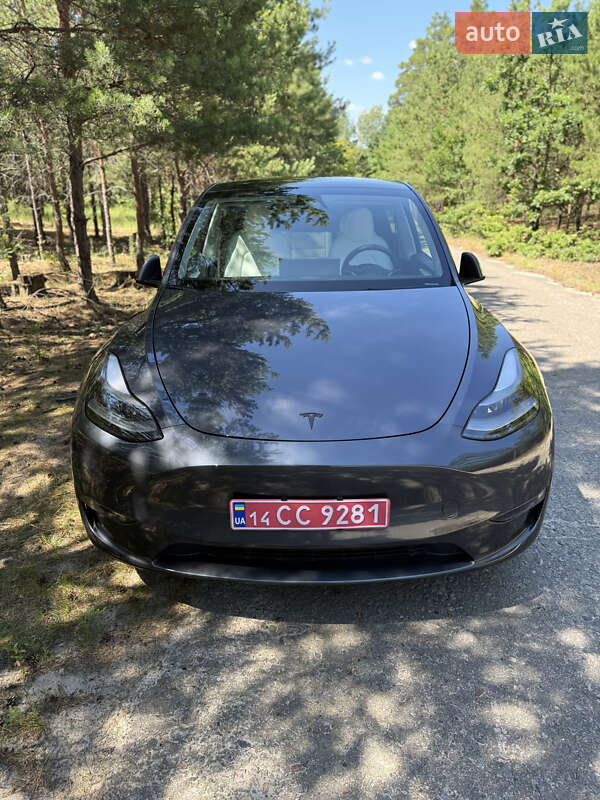 Внедорожник / Кроссовер Tesla Model Y 2023 в Киеве