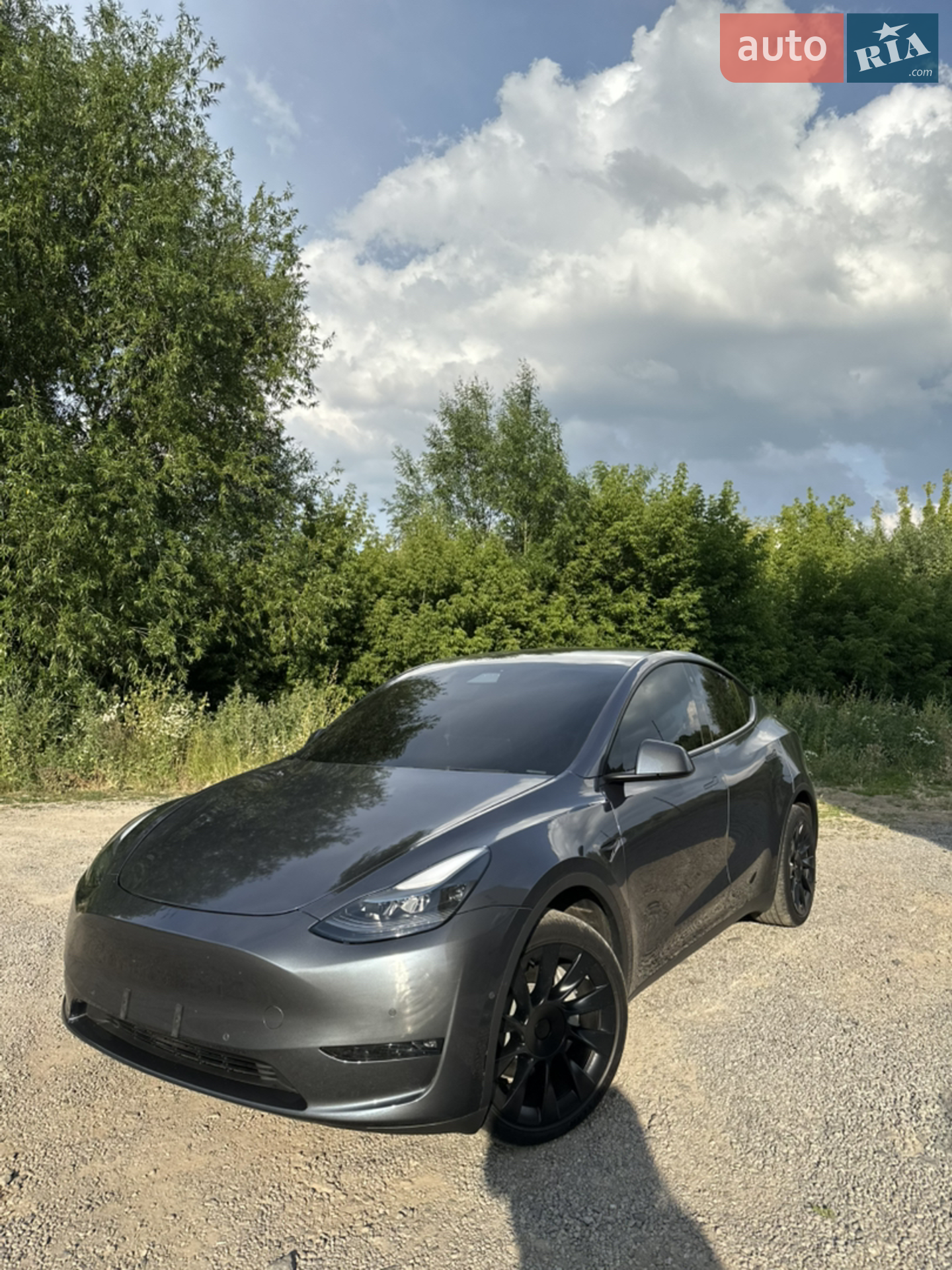 2022 Tesla Model Y - фото 1
