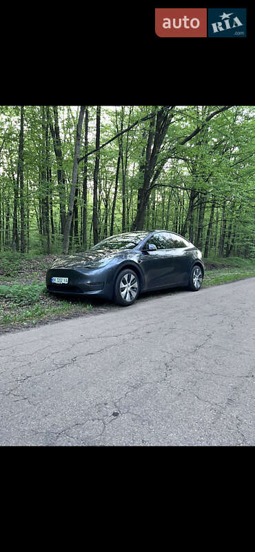 Внедорожник / Кроссовер Tesla Model Y 2022 в Ровно
