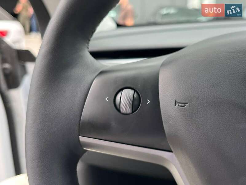 Позашляховик / Кросовер Tesla Model Y 2024 в Львові