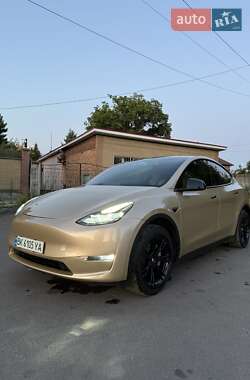 Позашляховик / Кросовер Tesla Model Y 2023 в 