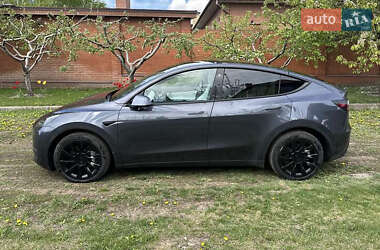 Позашляховик / Кросовер Tesla Model Y 2021 в 