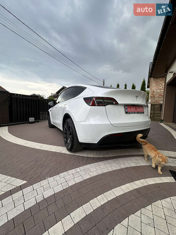 Позашляховик / Кросовер Tesla Model Y 2024 в Львові