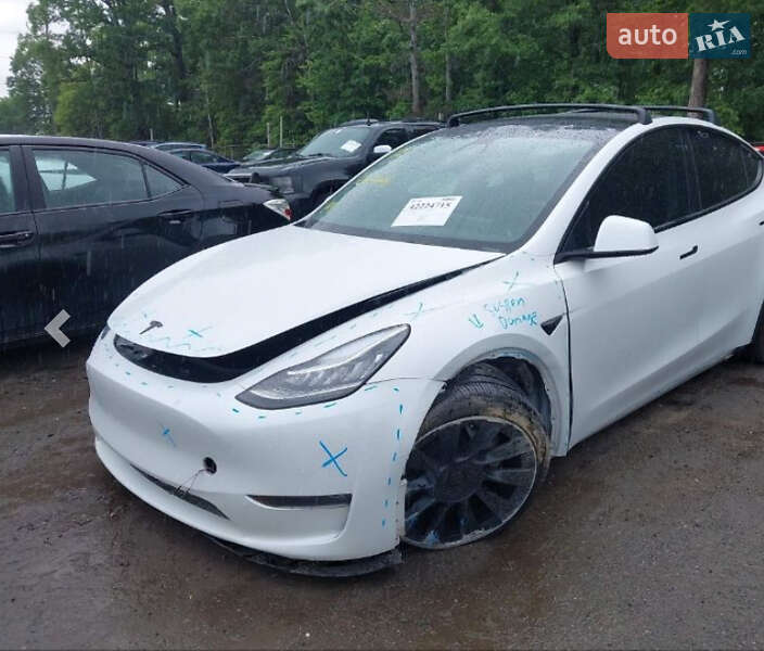 Позашляховик / Кросовер Tesla Model Y 2021 в Білій Церкві