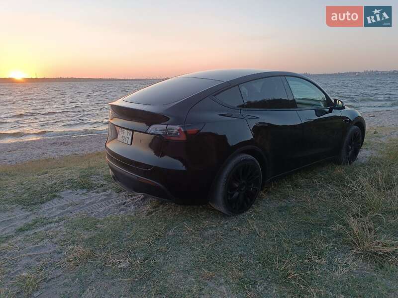 Внедорожник / Кроссовер Tesla Model Y 2020 в Николаеве