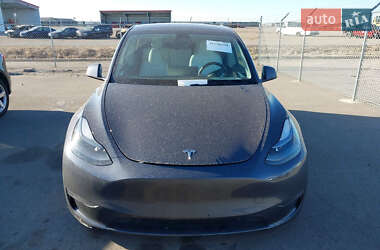 Внедорожник / Кроссовер Tesla Model Y 2023 в Черновцах