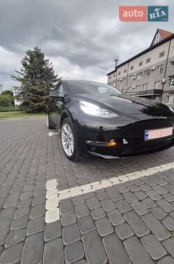 Позашляховик / Кросовер Tesla Model Y 2021 в Луцьку