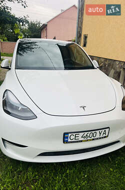 Внедорожник / Кроссовер Tesla Model Y 2020 в Черновцах