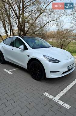 Позашляховик / Кросовер Tesla Model Y 2020 в Івано-Франківську