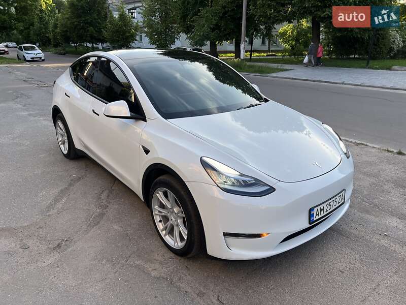 Внедорожник / Кроссовер Tesla Model Y 2023 в Житомире