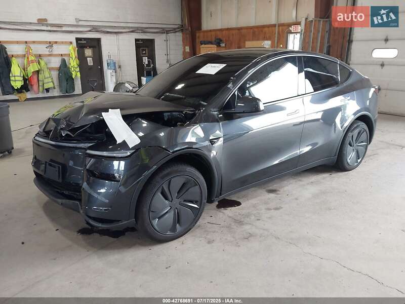 Внедорожник / Кроссовер Tesla Model Y 2025 в Киеве
