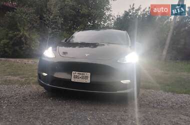 Внедорожник / Кроссовер Tesla Model Y 2023 в 