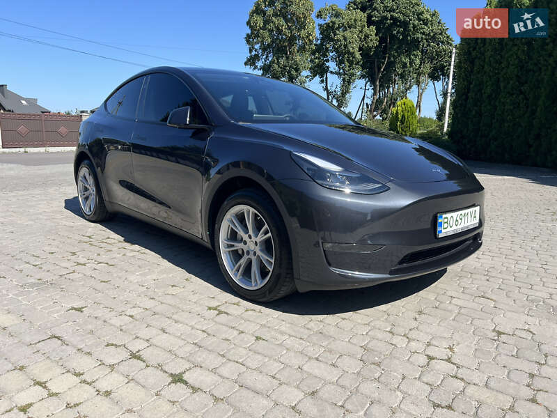 Внедорожник / Кроссовер Tesla Model Y 2024 в Тернополе