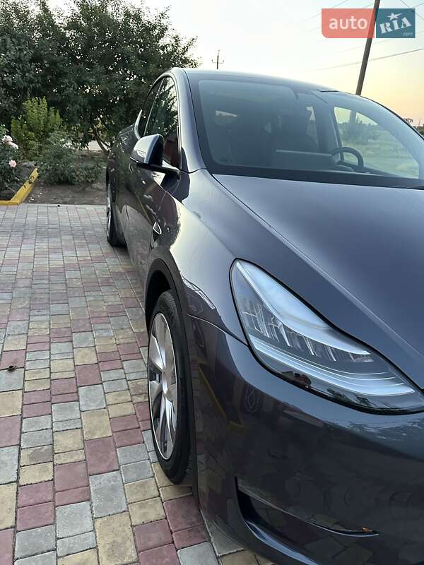 Внедорожник / Кроссовер Tesla Model Y 2021 в Одессе