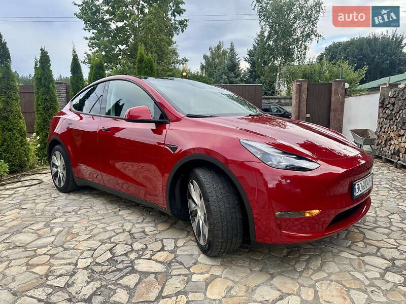 Внедорожник / Кроссовер Tesla Model Y 2023 в Киеве