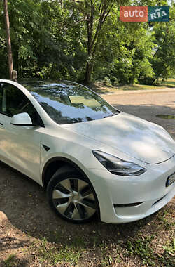 Внедорожник / Кроссовер Tesla Model Y 2020 в Черновцах