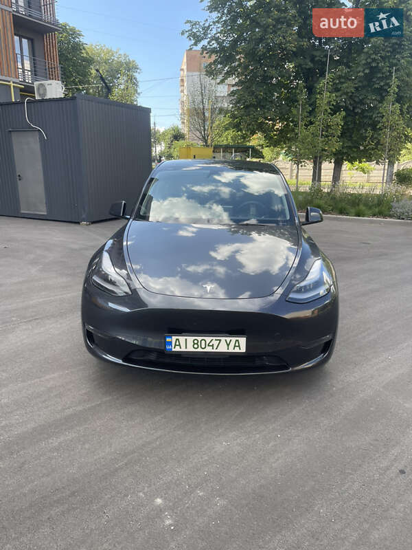 Внедорожник / Кроссовер Tesla Model Y 2024 в Фастове