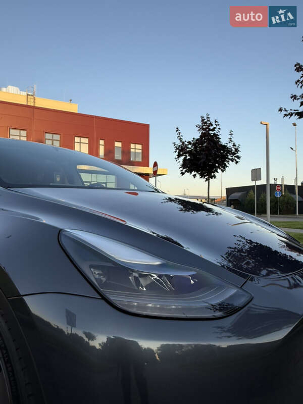 Внедорожник / Кроссовер Tesla Model Y 2023 в Виннице