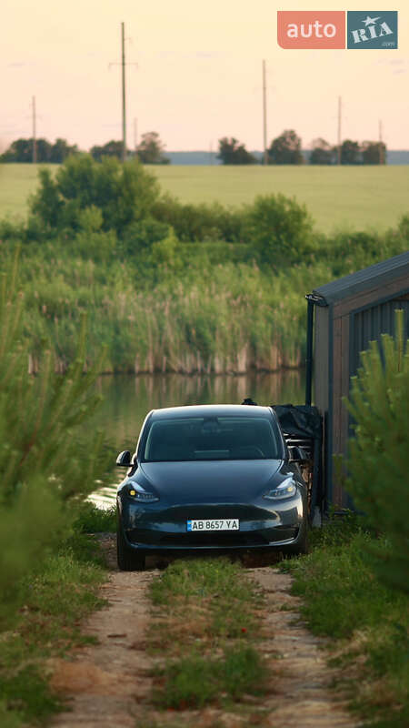 Внедорожник / Кроссовер Tesla Model Y 2023 в 