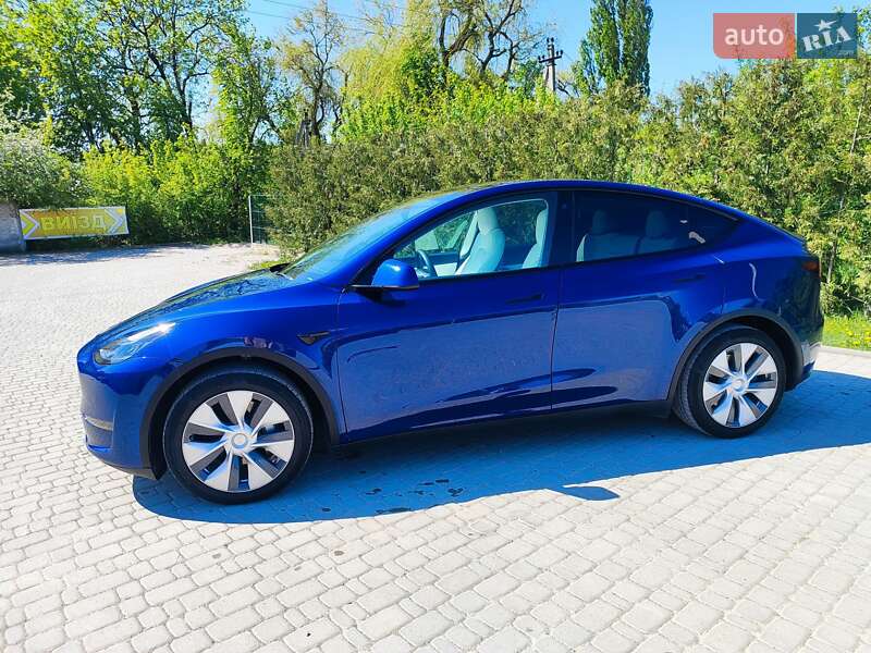 Внедорожник / Кроссовер Tesla Model Y 2022 в Каменец-Подольском